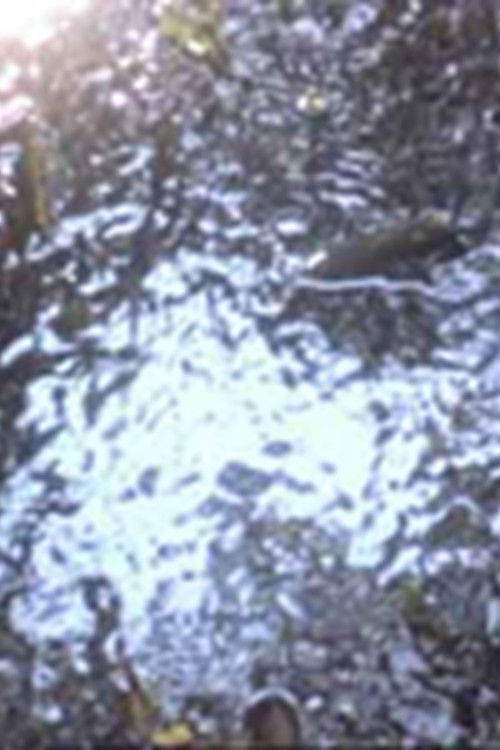 Sky Light (1988) poster