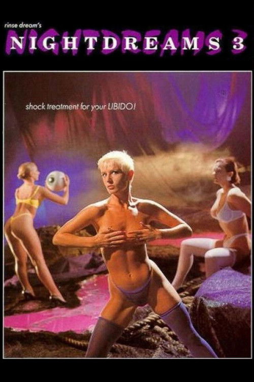 Nightdreams 3 (1991) poster