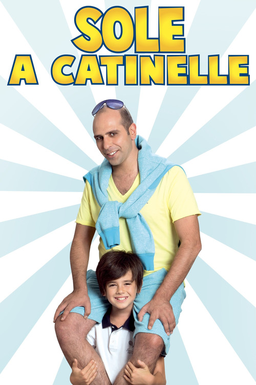 Sole a catinelle (2013) poster