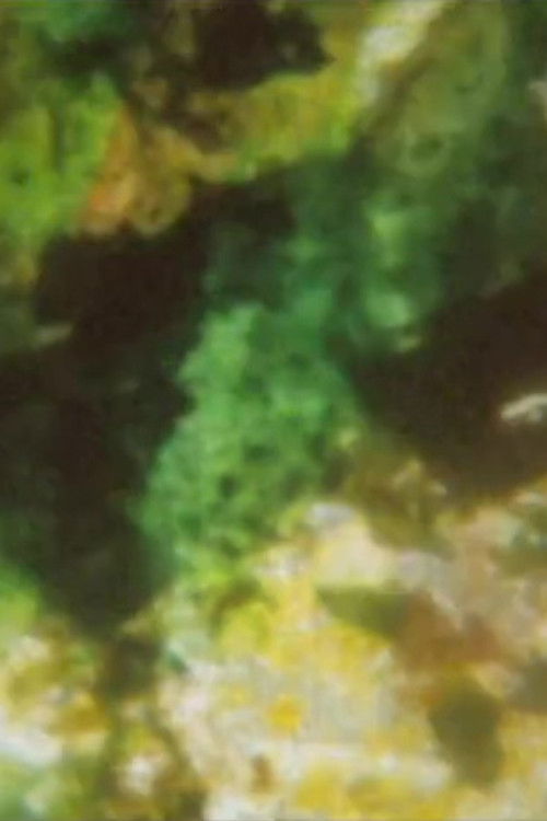 The Dog Star Man Has a Too Big Flaming Cock for the Sheba Queen (1991) poster