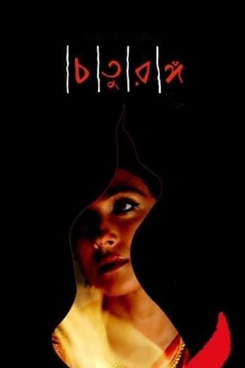 Four Chapters (2008) poster