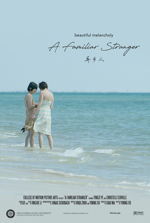 A Familiar Stranger (2018) poster