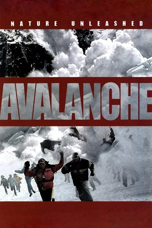 Nature Unleashed:  Avalanche (2004) poster