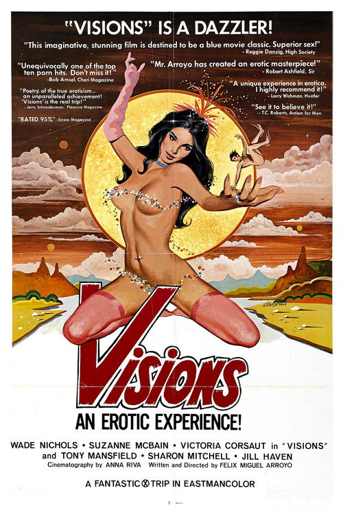 Visions (1977) poster
