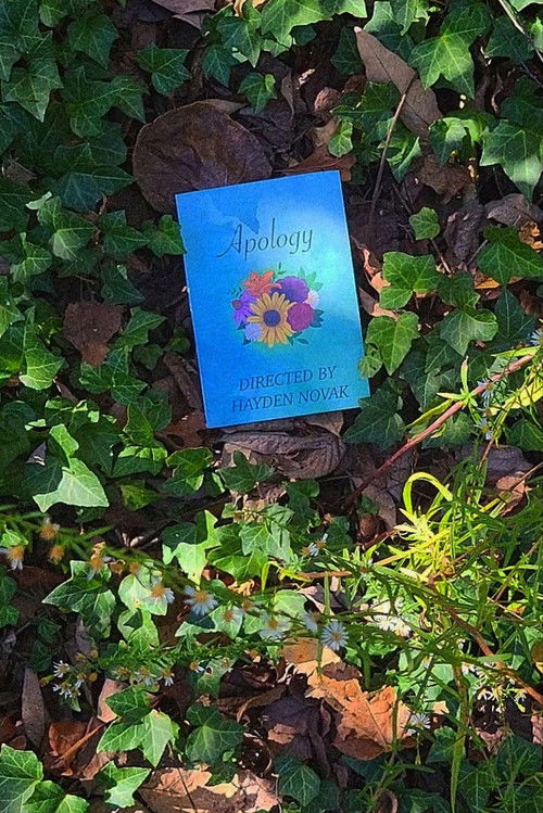 Apology (2025) poster