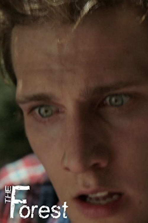 The Forest (2013) poster