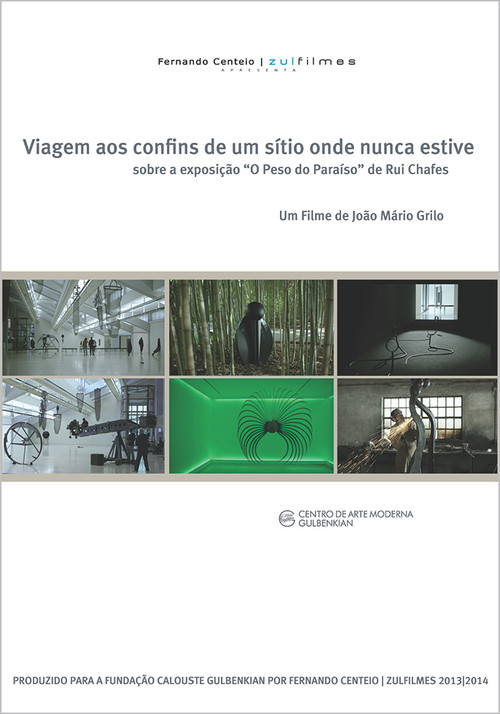 Viagem aos Confins de um Sítio Onde Nunca Estive (2014) poster