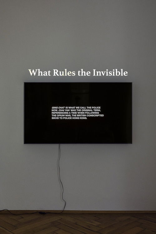 What Rules the Invisible (2022) poster