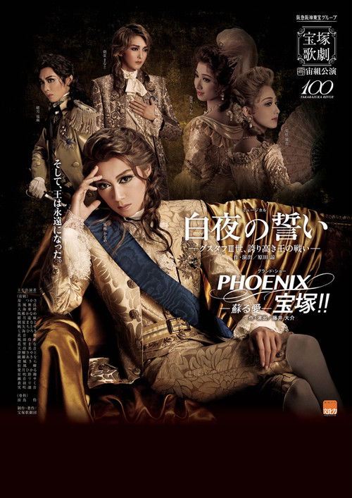 Oath of the Midnight Sun - Gustav III: A Battle by a Proud King (2015) poster