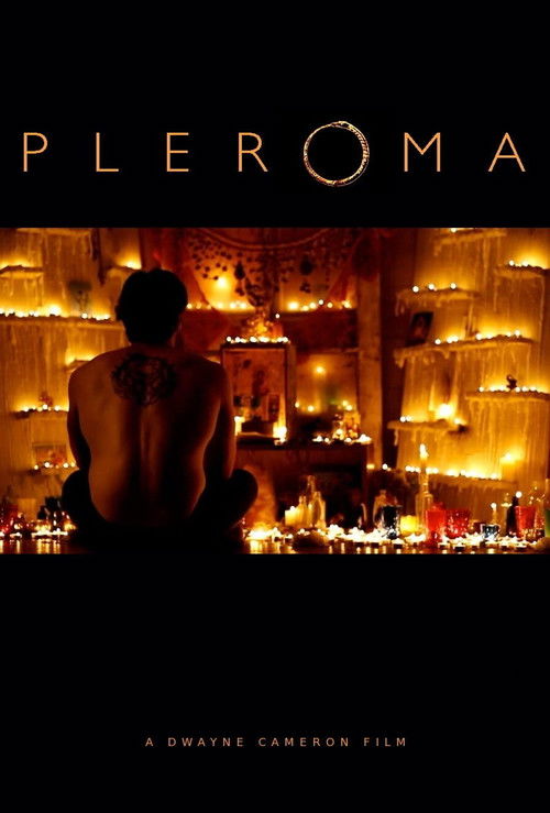 Pleroma (2013) poster