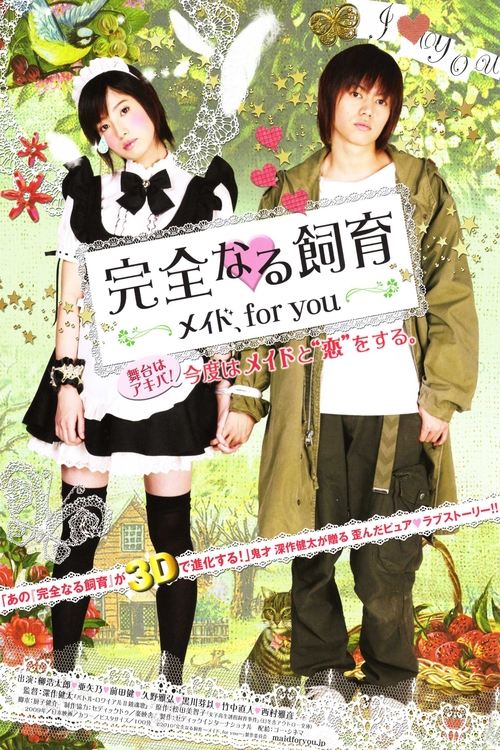 完全なる飼育 メイド、for you (2010) poster