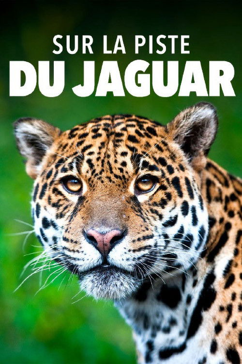Sur la piste du jaguar au Guyana poster