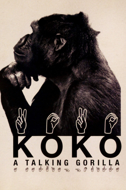 Koko: A Talking Gorilla (1978) poster
