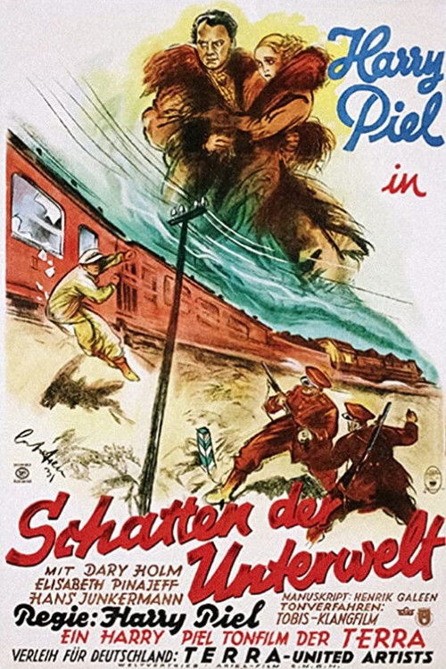 Shallow Shadows (1931) poster
