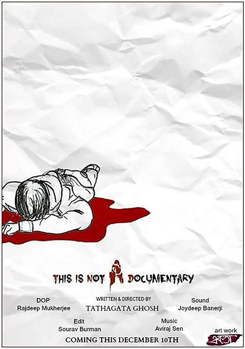 This is not a Documentary! (2015) poster