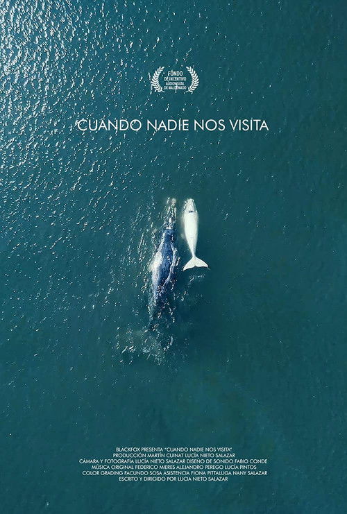 Cuando nadie nos visita (2018) poster