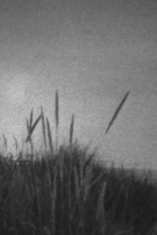 A Storm at Sea (2025) poster