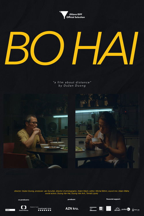 Bo Hai (2017) poster