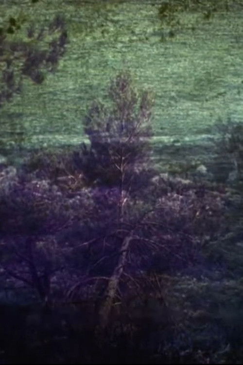 Cloud Shadows (2014) poster