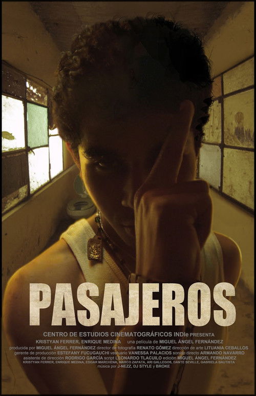 Pasajeros (2013) poster
