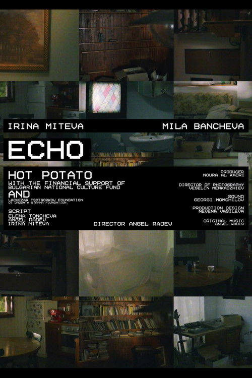 ECHO poster