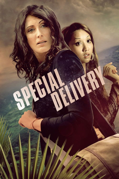 Special Delivery (2008) poster