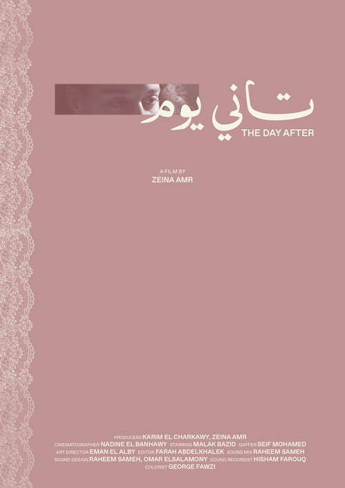 The Day After (2025) poster