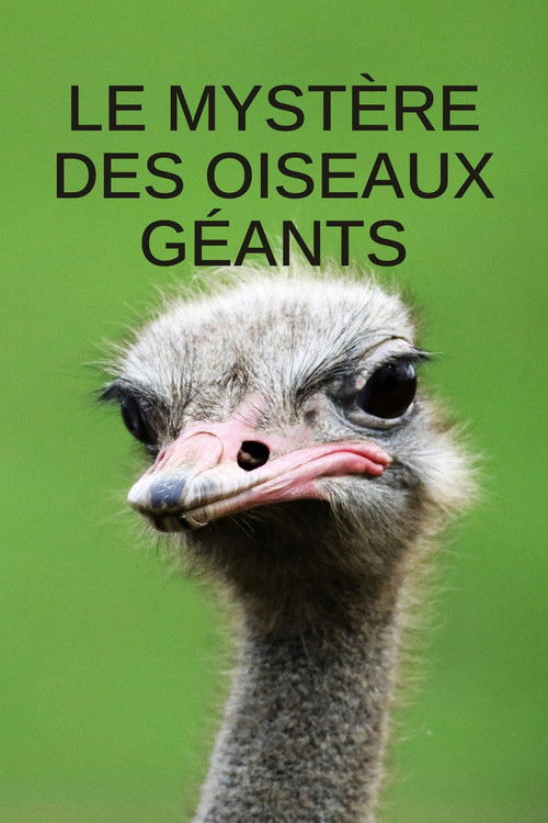 Le mystère des oiseaux géants (2025) poster