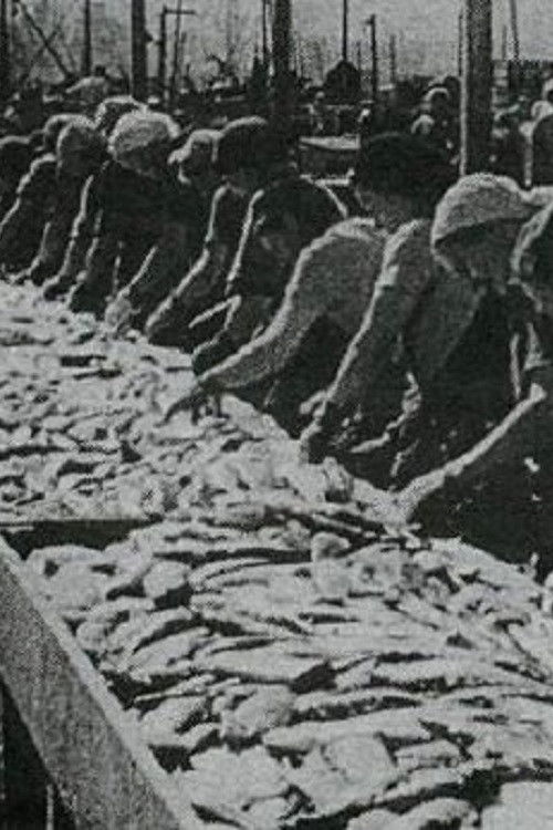 The Icelandic Herring Industry (1987) poster