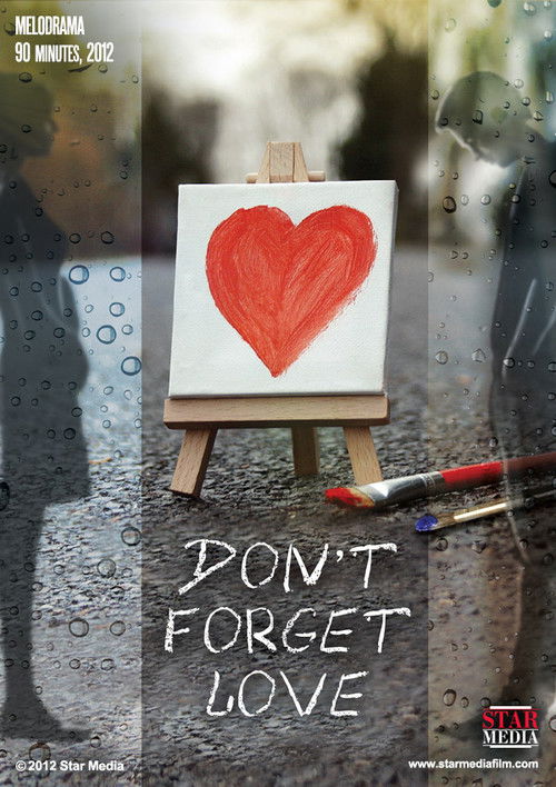 Don't Forget Love (2013) poster