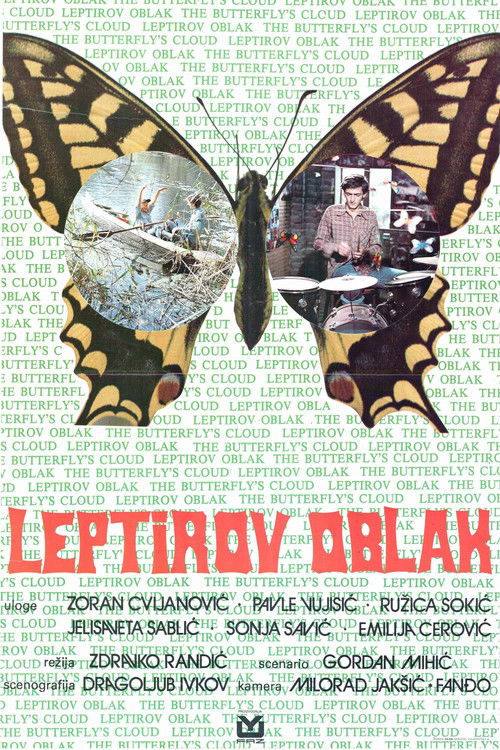 Butterfly Cloud (1977) poster