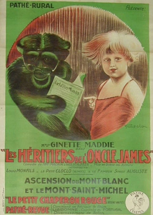 The Heirs of Uncle James (1924) poster