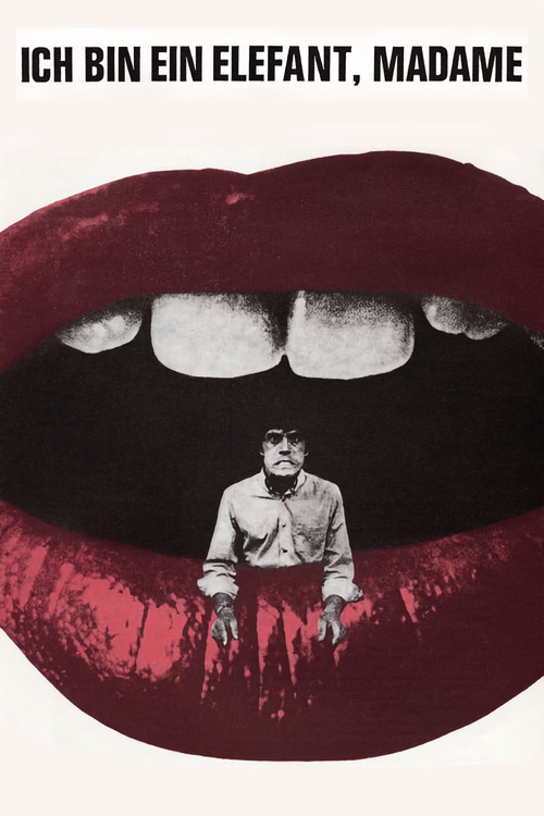 I’m an Elephant, Madame (1969) poster
