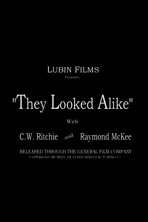 They Looked Alike (1915) poster