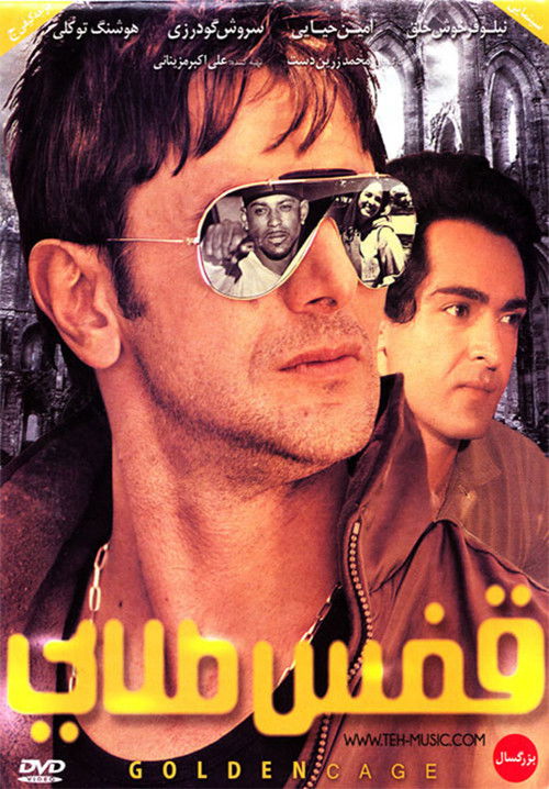 Golden Cage (2010) poster