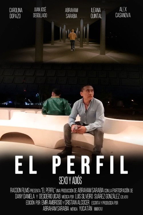 El perfil poster