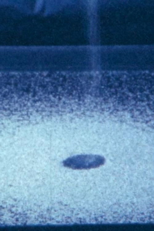 Ecosystem 23 ~ Time (2016) poster