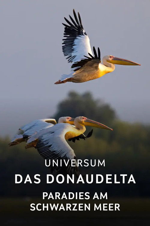 Das Donaudelta - Paradies am Schwarzen Meer (2025) poster