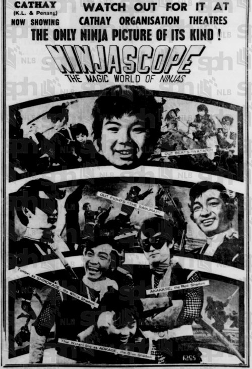 Ninjascope: The Magic World of Ninjas (1968) poster