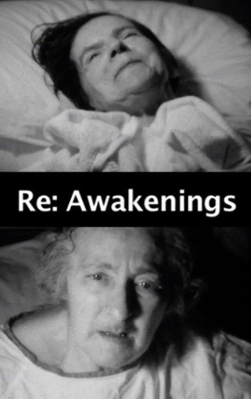 Re: Awakenings (2013) poster