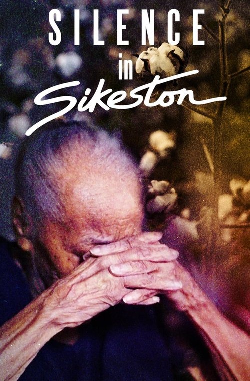 Silence in Sikeston (2024) poster