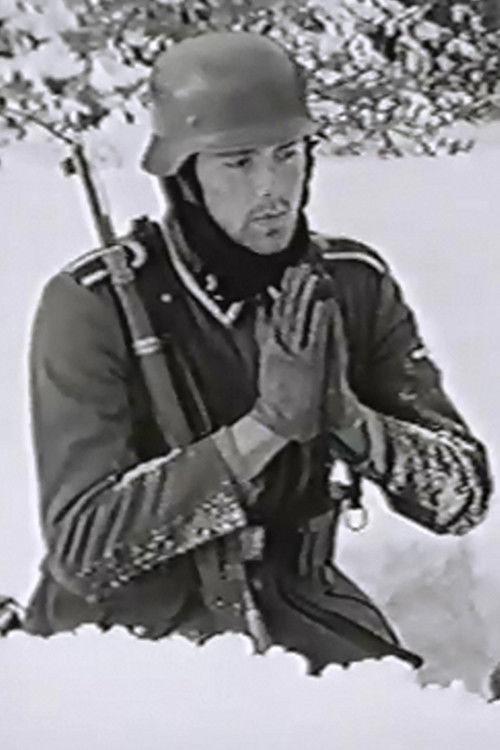 The Snow Field (1996) poster