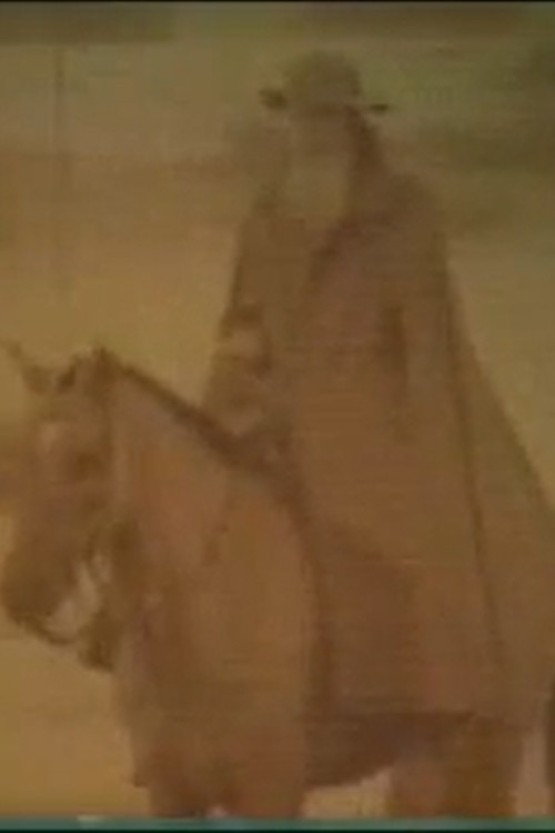 Homenagem a Manuelzão (1979) poster