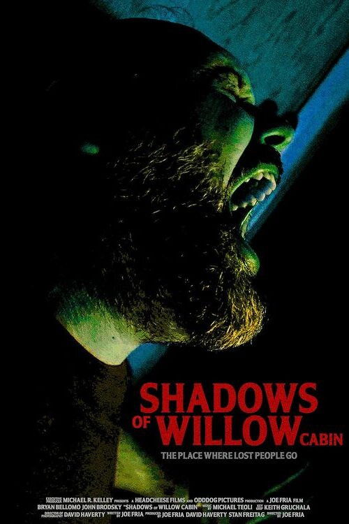 Shadows of Willow Cabin (2025) poster