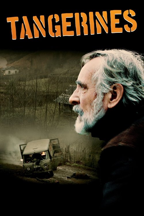 Mandalina Bahçesi (2013) poster