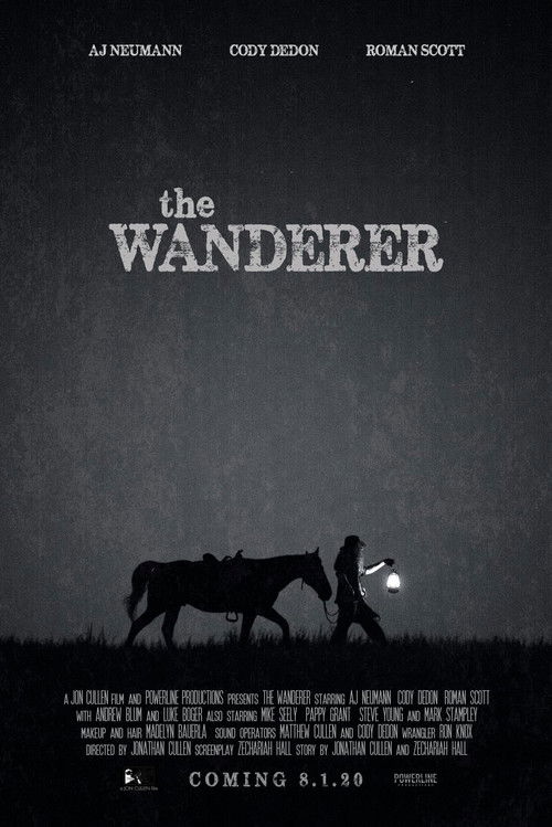 The Wanderer (2020) poster