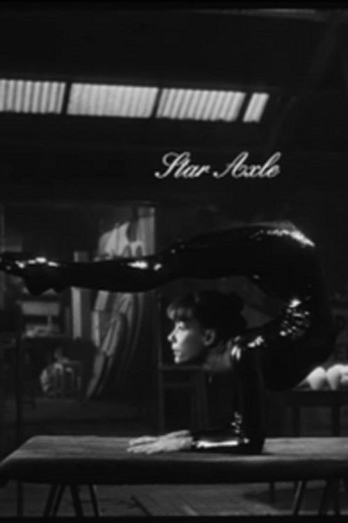 13 figures de Sarah Beauchesne au 71, rue Blanche (1993) poster