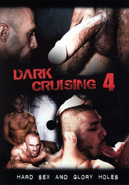 Dark Cruising 4 (2012) poster