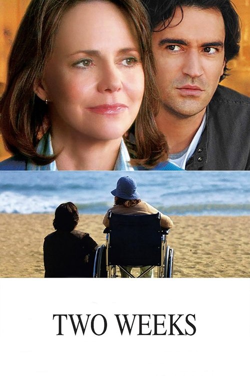 Two Weeks (2006) poster