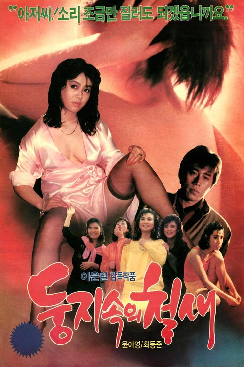 둥지 속의 철새 (1988) poster